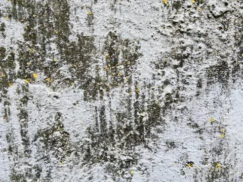 A stone texture Stock Photos