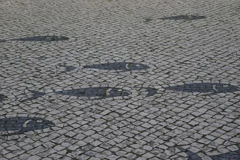 Stone Texture Stock Photos