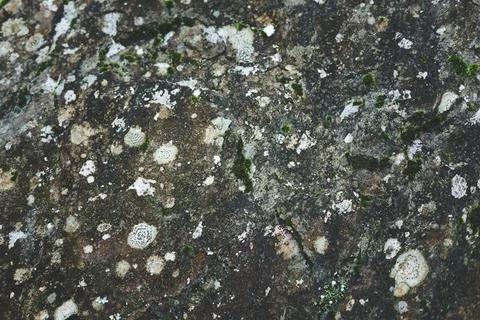 Stone texture Stock Photos