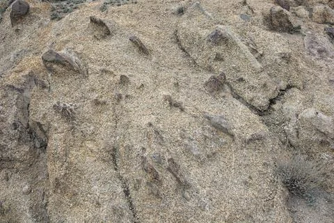 Stone texture Stock Photos