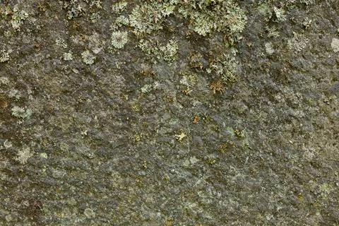 Stone texture. Stock Photos