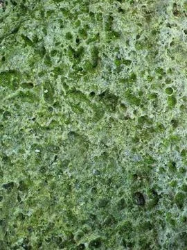 Stone texture Stock Photos