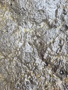 Stone texture Stock Photos