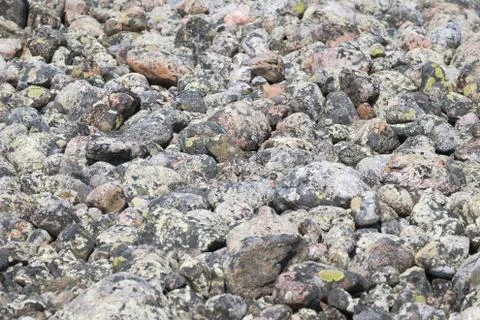 Stone texture seashore Stock Photos