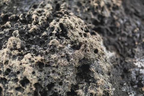 Stone texture on the seashore Stock Photos