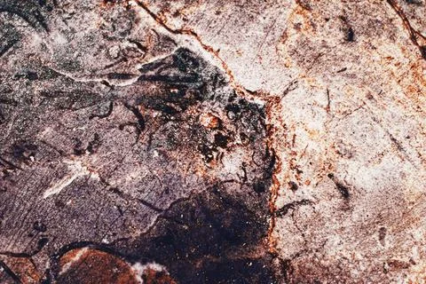 Stone texture as surface background, interior design and luxury flatlay Stock Photos