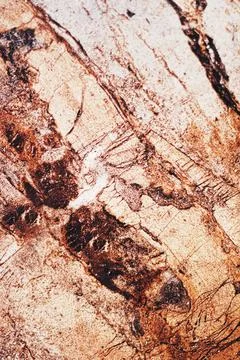 Stone texture as surface background, interior design and luxury flatlay 写真素材