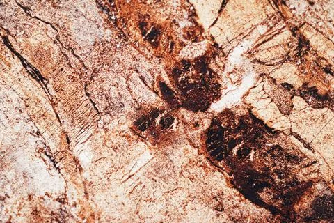 Stone texture as surface background, interior design and luxury flatlay 写真素材