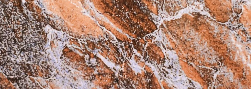 Stone texture as surface background, interior design and luxury flatlay 写真素材