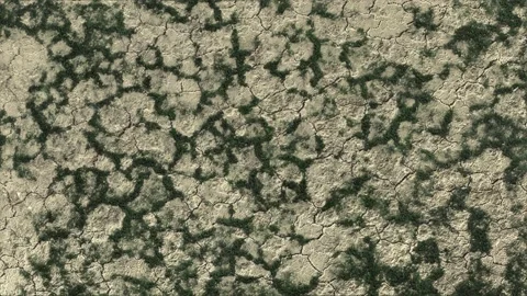 Stone texture surface eroding cracking and covered with moss and grass. 스톡 동영상 162161413