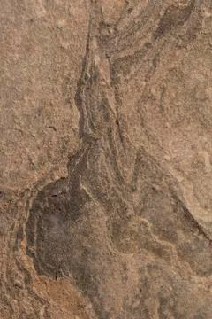 Stone texture. surface of the marble with brown tint Stock Photos