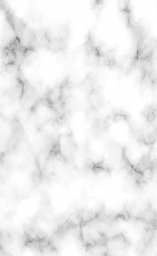 Stone texture white with black marble background - Vector Stock Illustration