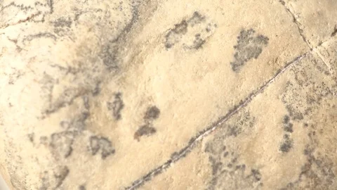 Stone Texture on yellow Stone (Macro) Stock Footage 85441107