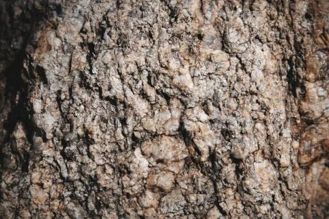 Stone textured close-up with glitter tiny rock on surface. Stock Photos