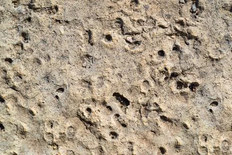 Stone textured surface Foto stock