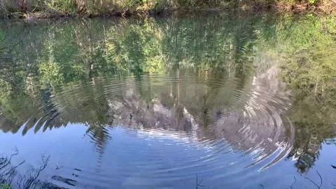 Stone Throw and Splash in Alaskan Lake Mountain Reflection ASMR Sounds Summer Stock Footage 295462228