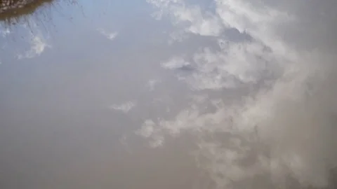 Stone throw in the pond Stock Footage 79596609