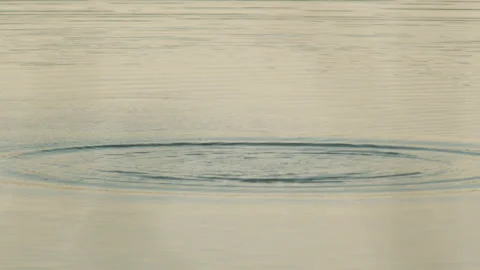 A stone thrown into a lake during summer after noon Video stock 141817755