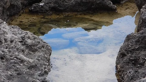 Stone thrown into the pond 4967 Stock Footage 108944573