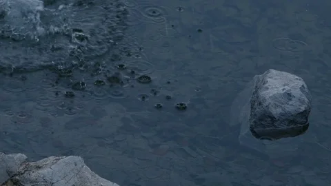 Stone thrown into the water Stock Footage 77828462