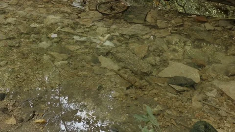 Stone thrown in water Stock Footage 79715507