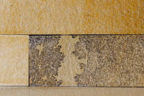 Stone Tile Arrangement with Dendritic Pattern Stock Photos