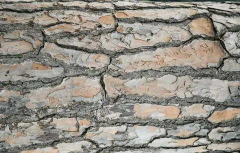 Stone tile brick wall texture background., Background texture of stone wall., Stock Photos