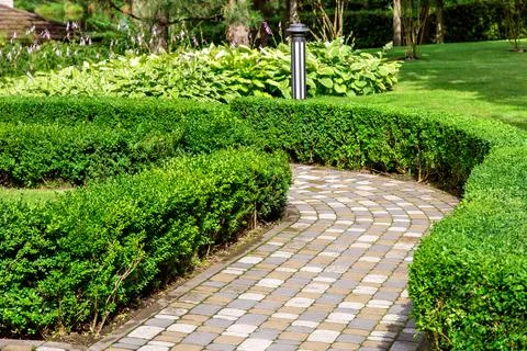 A stone tile path in a park with a hedge of evergreen deciduous shrubs. Stock Photos