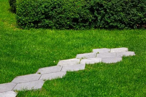 Stone tiles path with pattern of honeycomb and green lawn and bush. Stock Photos