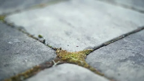 Stone tiles pattern, background texture, close-up slow panoramic motion 库存影片 279894837