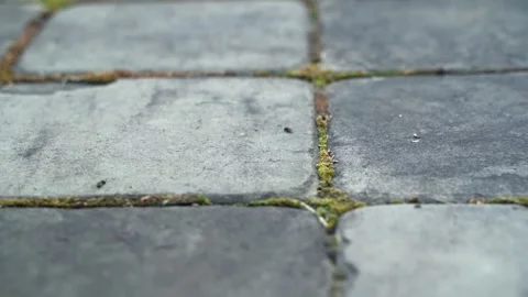 Stone tiles pattern, background texture, close-up slow panoramic motion 库存影片 279894917