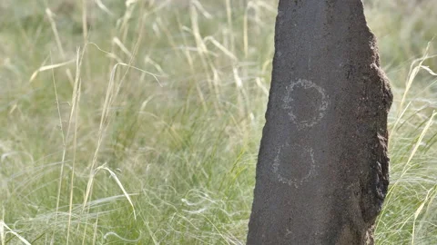 Stone tombstone of nomadic tribes. Stock Footage 327712505