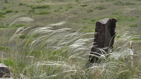 Stone tombstone of nomadic tribes. Vídeos de archivo 327713967