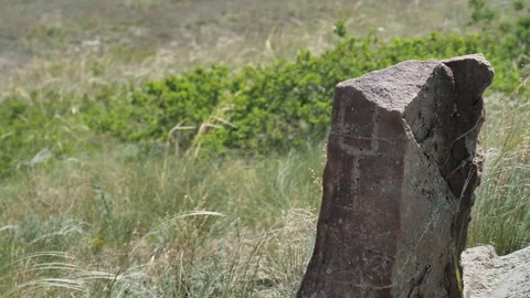 Stone tombstone of nomadic tribes. Stock Footage 327716882