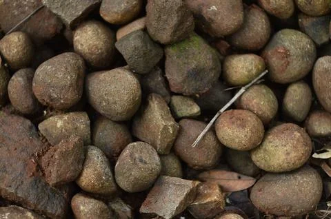 Stone from the Top Fotos de archivo