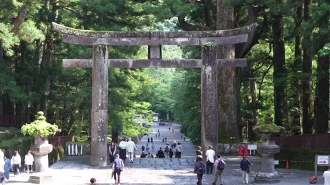 Stone Torii Gate at Nikko Toshogu Shrine Surrounded by Cedar Forest, Japan Stock Footage 344927104