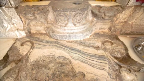 Stone Tortoise Carving on Temple Floor Stock Footage 324910975