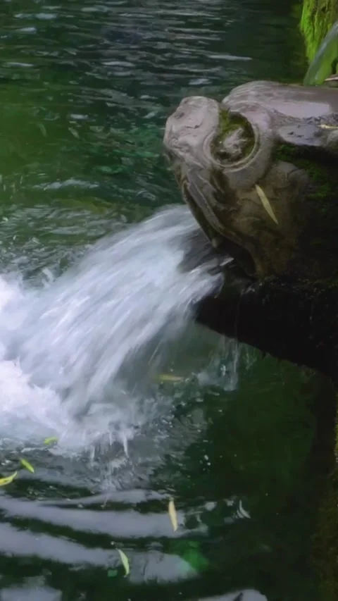 Stone Tortoise Spouting Water into Green Pond at Black Tiger Spring Stock Footage 331216521