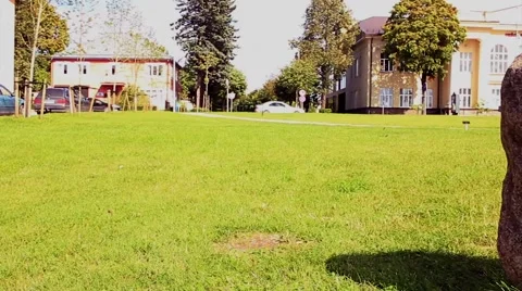 Stone totem in park Stock Footage 66426718