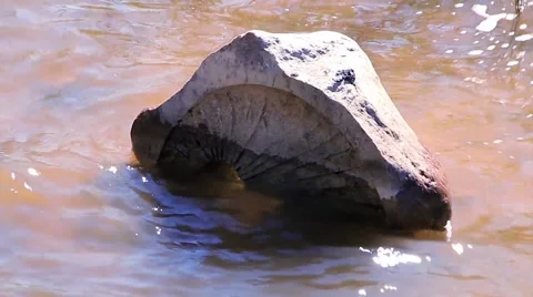 Stone totem in water 2 Stock Footage 66426724