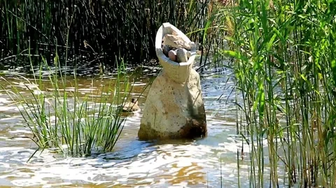 Stone totem in water Stock Footage 66426734