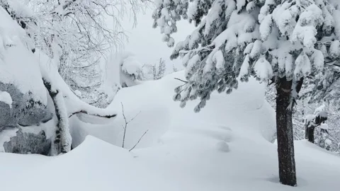 Stone Town in winter in the Perm region.  Stock Footage 252340089