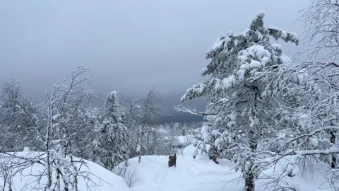 Stone Town in winter in the Perm region. Stock Footage 252517894