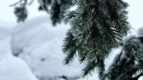 Stone Town in winter in the Perm region.  Stock Footage 259973461