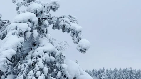 Stone Town in winter in the Perm region.  Stock Footage 260057728