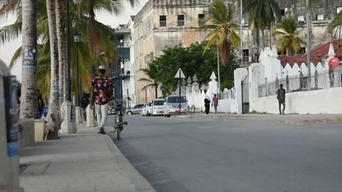 Stone Town, Zanzibar Stock Footage 205370200