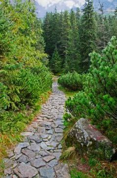 Stone trail Stock Photos