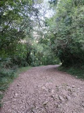 Stone trail Foto stock