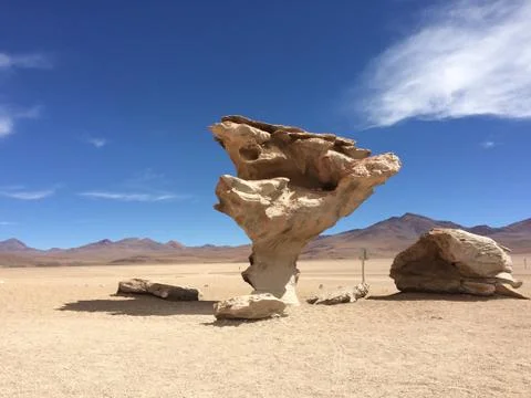 Stone Tree 스톡 사진