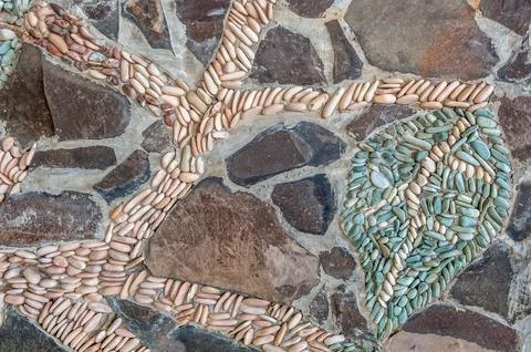 Stone tree Stock Photos